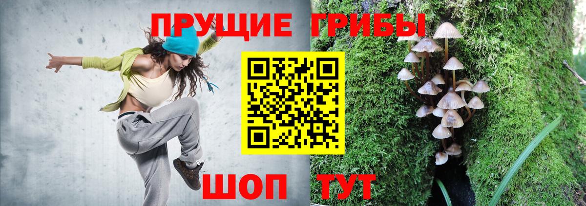 Псилоцибиновые грибы GOLDEN TEACHER Тында